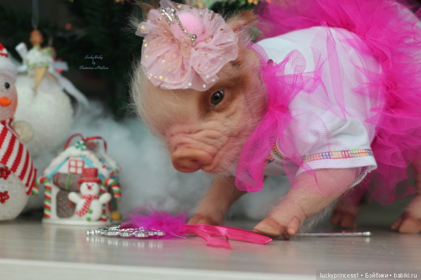 Мисс Piggy Queen. Свинка реборн из молда Thistle by Cindy Musgrove (фото 3)