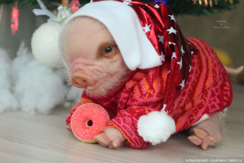 Мисс Piggy Queen. Свинка реборн из молда Thistle by Cindy Musgrove