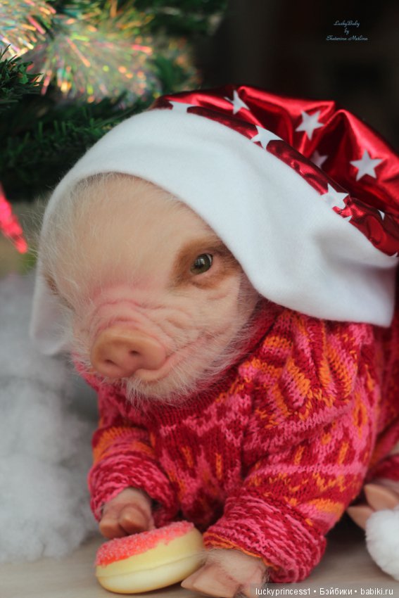 Мисс Piggy Queen. Свинка реборн из молда Thistle by Cindy Musgrove