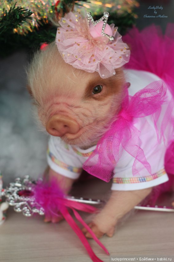 Мисс Piggy Queen. Свинка реборн из молда Thistle by Cindy Musgrove