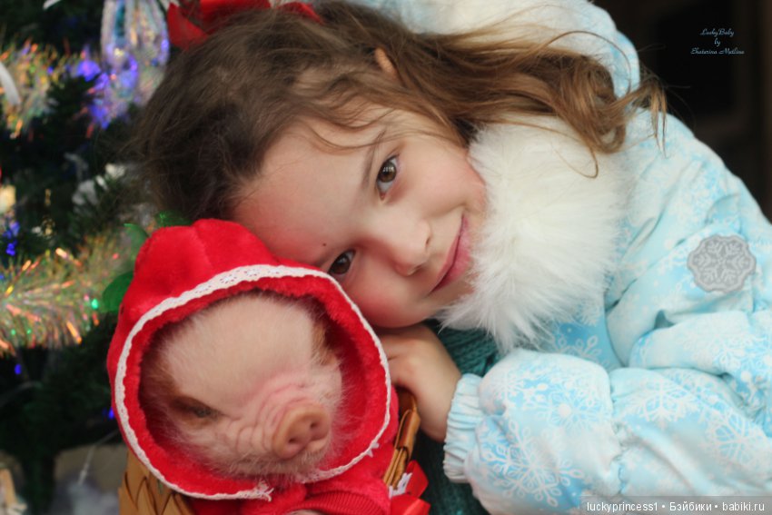 Мисс Piggy Queen. Свинка реборн из молда Thistle by Cindy Musgrove