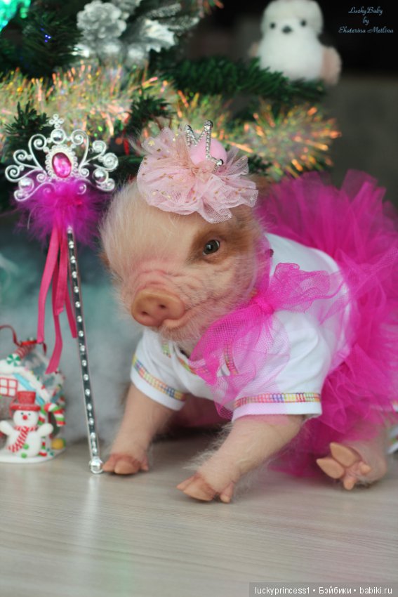 Мисс Piggy Queen. Свинка реборн из молда Thistle by Cindy Musgrove (фото 8)