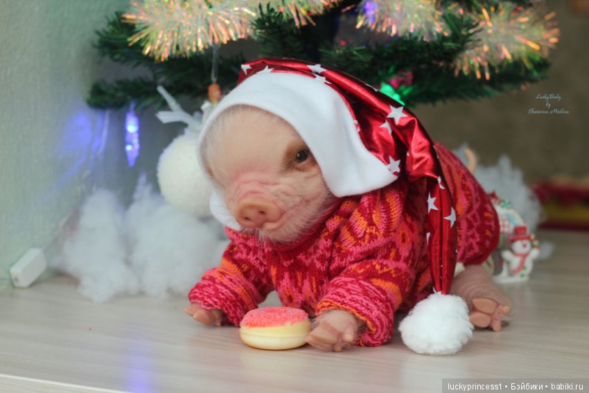 Мисс Piggy Queen. Свинка реборн из молда Thistle by Cindy Musgrove