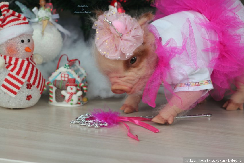 Мисс Piggy Queen. Свинка реборн из молда Thistle by Cindy Musgrove (фото 4)