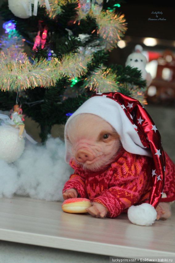 Мисс Piggy Queen. Свинка реборн из молда Thistle by Cindy Musgrove