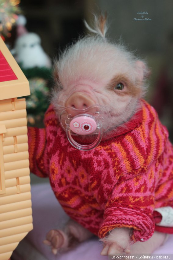 Мисс Piggy Queen. Свинка реборн из молда Thistle by Cindy Musgrove