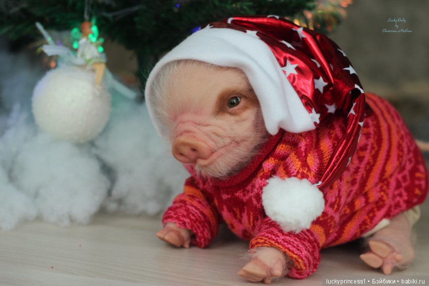 Мисс Piggy Queen. Свинка реборн из молда Thistle by Cindy Musgrove