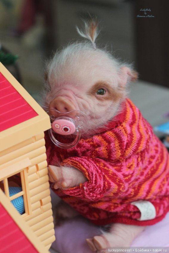 Мисс Piggy Queen. Свинка реборн из молда Thistle by Cindy Musgrove