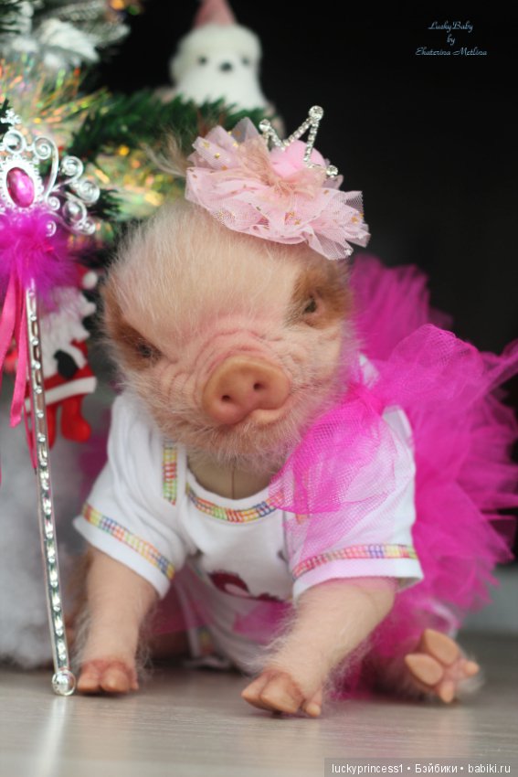 Мисс Piggy Queen. Свинка реборн из молда Thistle by Cindy Musgrove (фото 9)