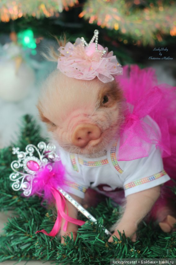 Мисс Piggy Queen. Свинка реборн из молда Thistle by Cindy Musgrove