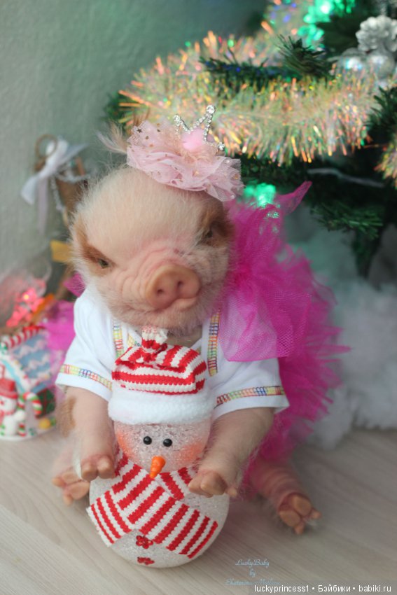 Мисс Piggy Queen. Свинка реборн из молда Thistle by Cindy Musgrove