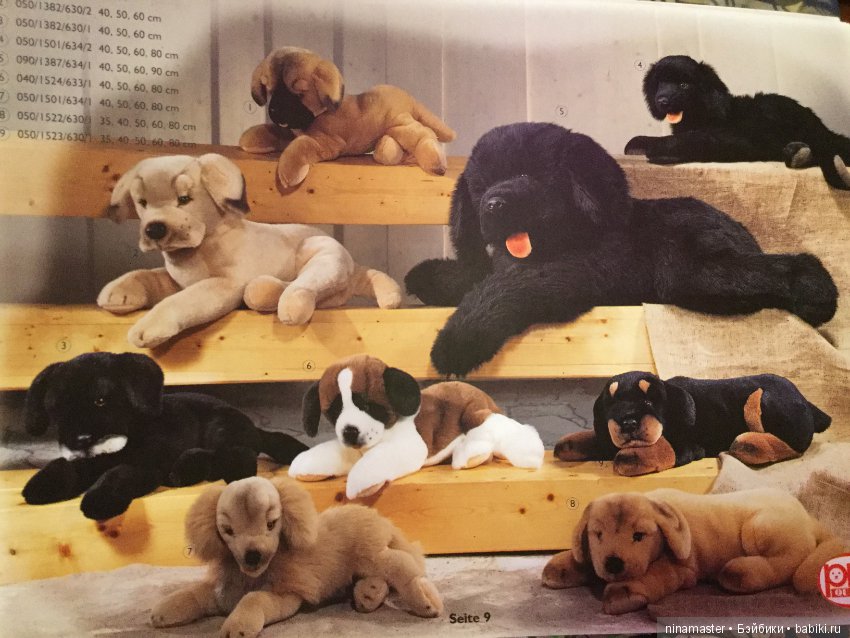 Каталог Pluti 1999 год — В мире животных: смешные фото питомцев и зверей (фото 9)