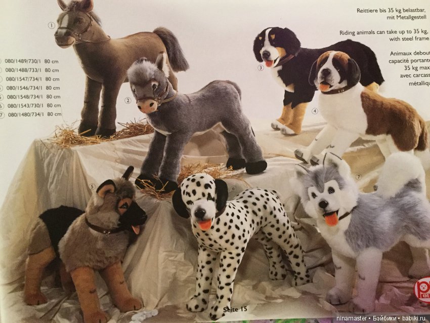 Каталог Pluti 1999 год — В мире животных: смешные фото питомцев и зверей