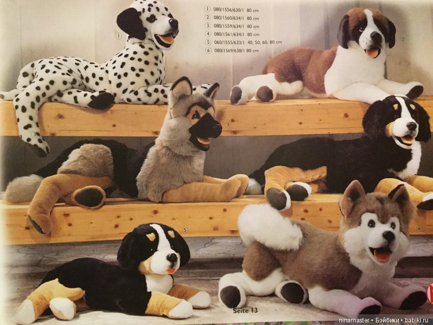 Каталог Pluti 1999 год — В мире животных: смешные фото питомцев и зверей