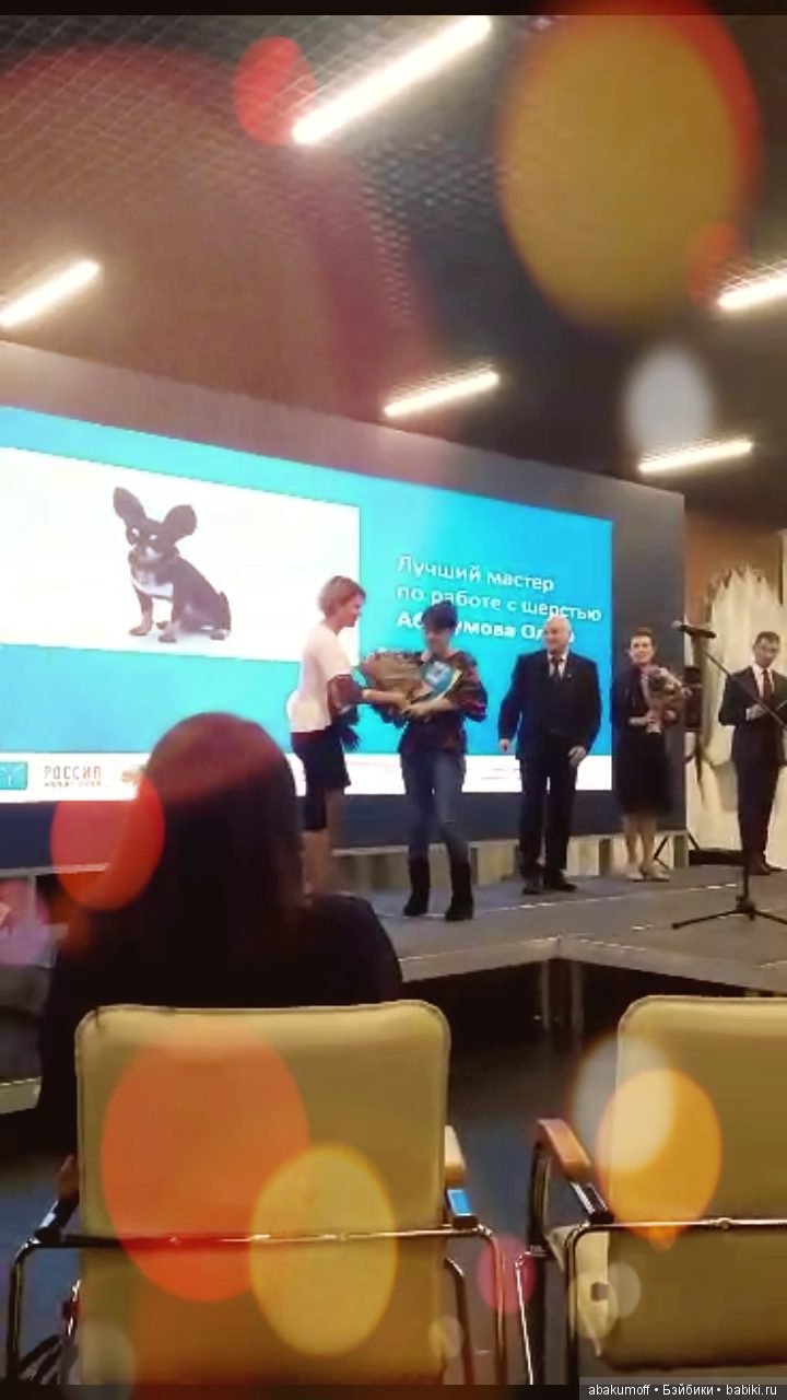 Валяные игрушки из шерсти: сухое валяние (фото 2)