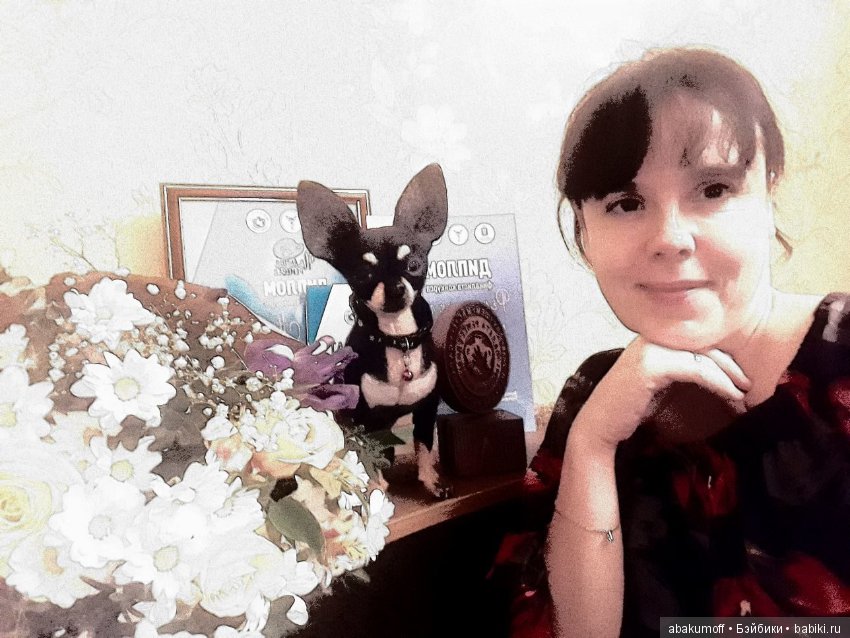 Валяные игрушки из шерсти: сухое валяние