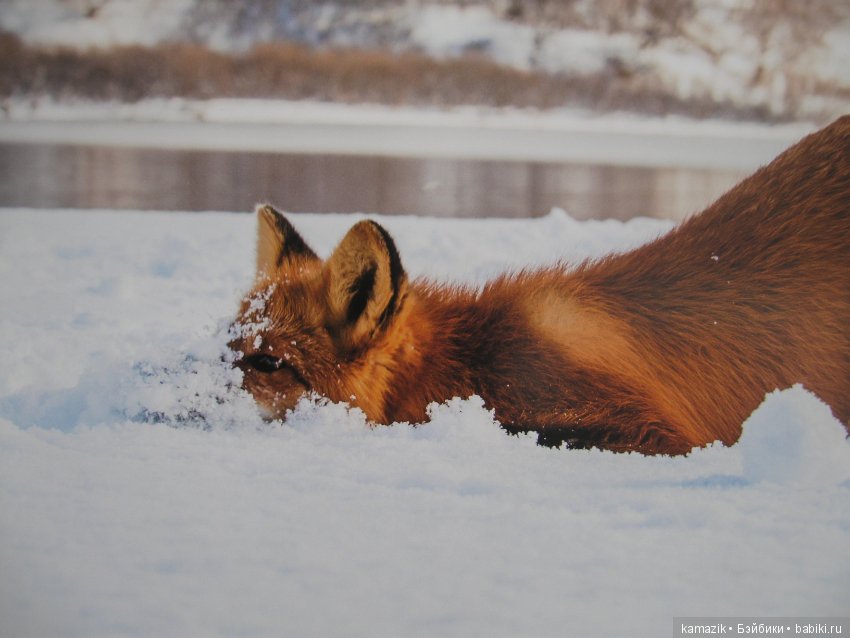 Рита гуляет — Разные шарнирные куклы (не БЖД): редкие