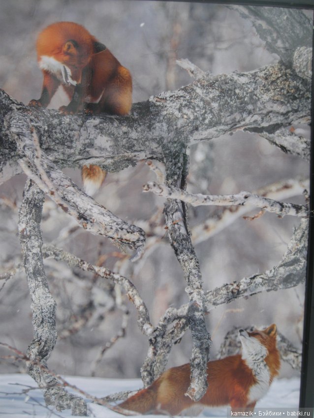 Рита гуляет — Разные шарнирные куклы (не БЖД): редкие