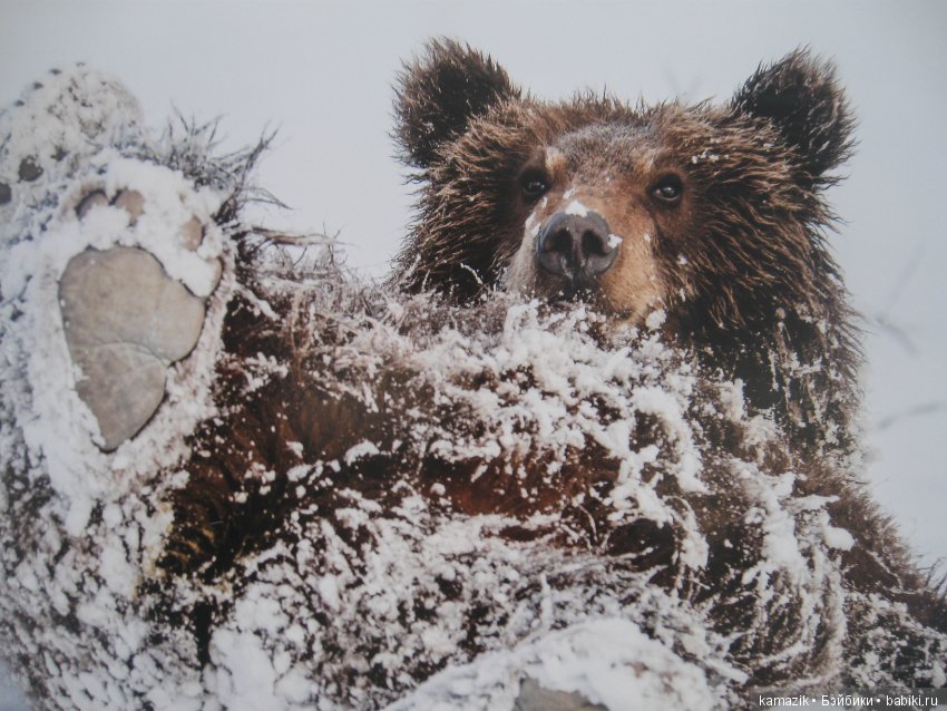 Рита гуляет — Разные шарнирные куклы (не БЖД): редкие