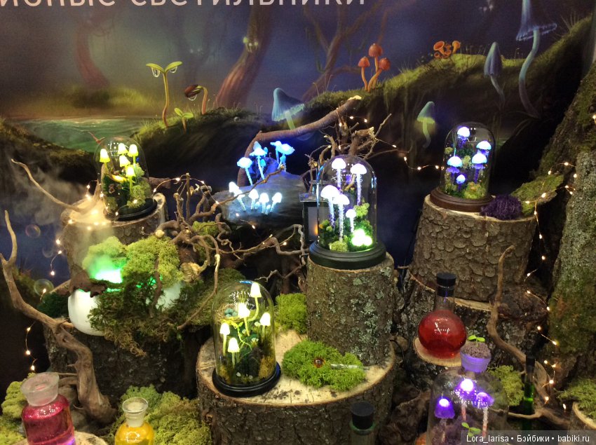 Моё первое участие в Hello Teddy 2018