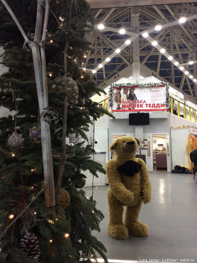 Моё первое участие в Hello Teddy 2018