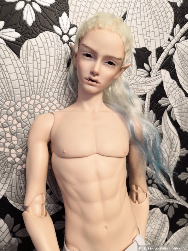 Волк и эльф — Куклы Soom (Сум): BJD (БЖД) (фото 2)