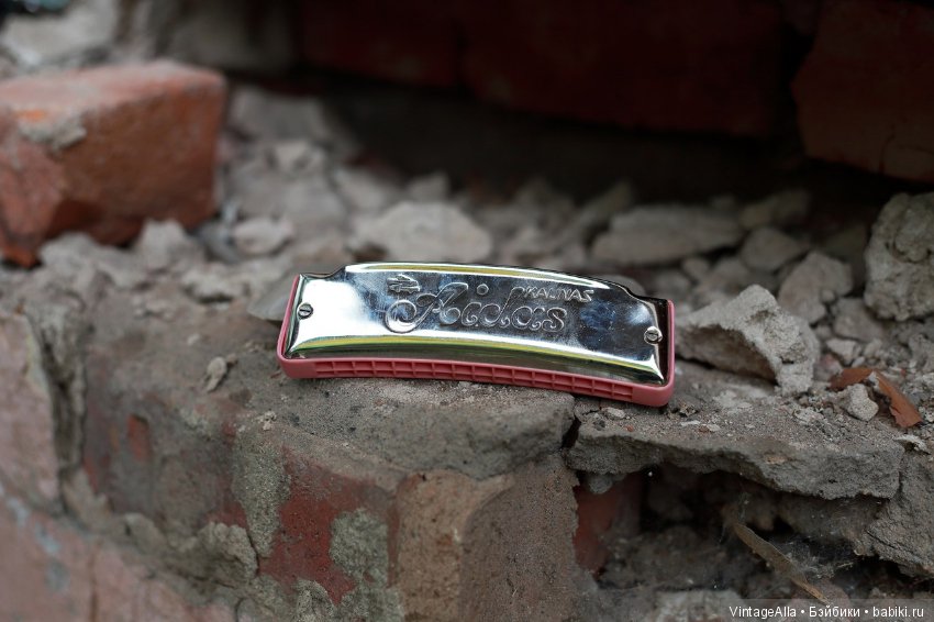 Omnia mea mecum porto — Болталка и разговоры обо всем: жизнь (фото 2)