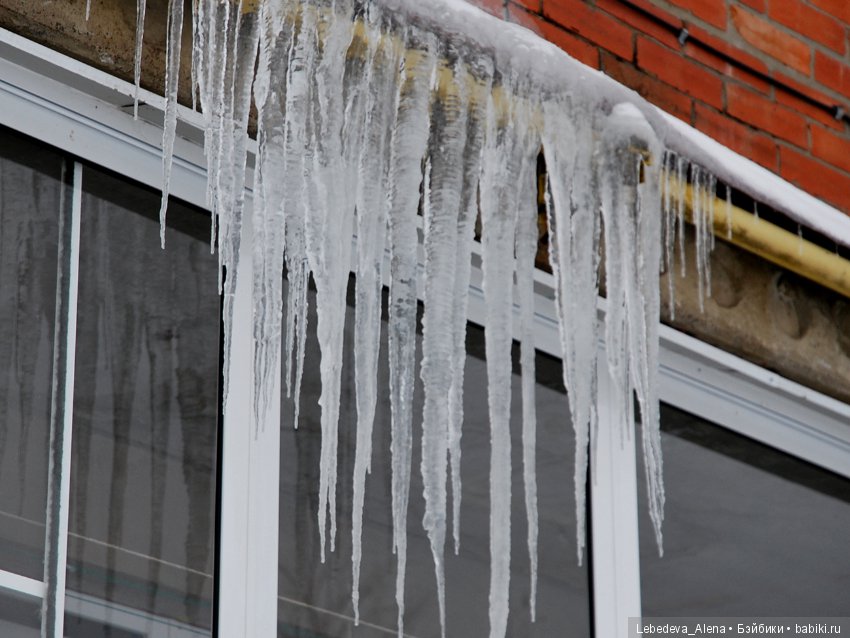 Зима и псы — Болталка и разговоры обо всем: жизнь