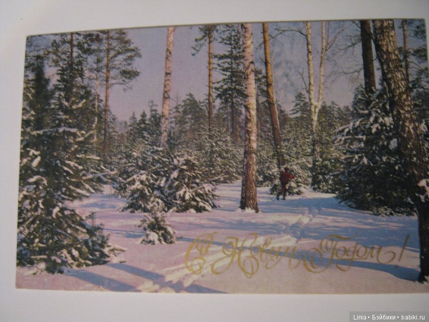 А открытку подписали — Болталка и разговоры обо всем: жизнь (фото 5)