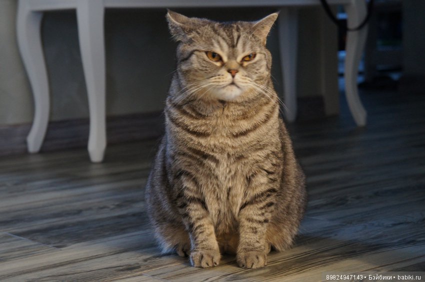 Любовь с первого взгляда. Sonneberg