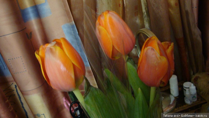 На моей полке — Домашние коллекции кукол: фото собраний