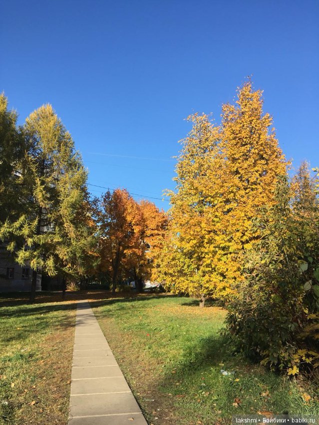 Немного осени с Врен, Оливией и вихтелями