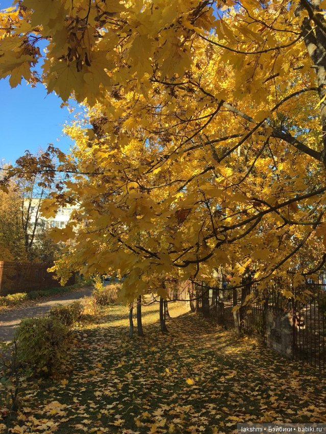 Немного осени с Врен, Оливией и вихтелями