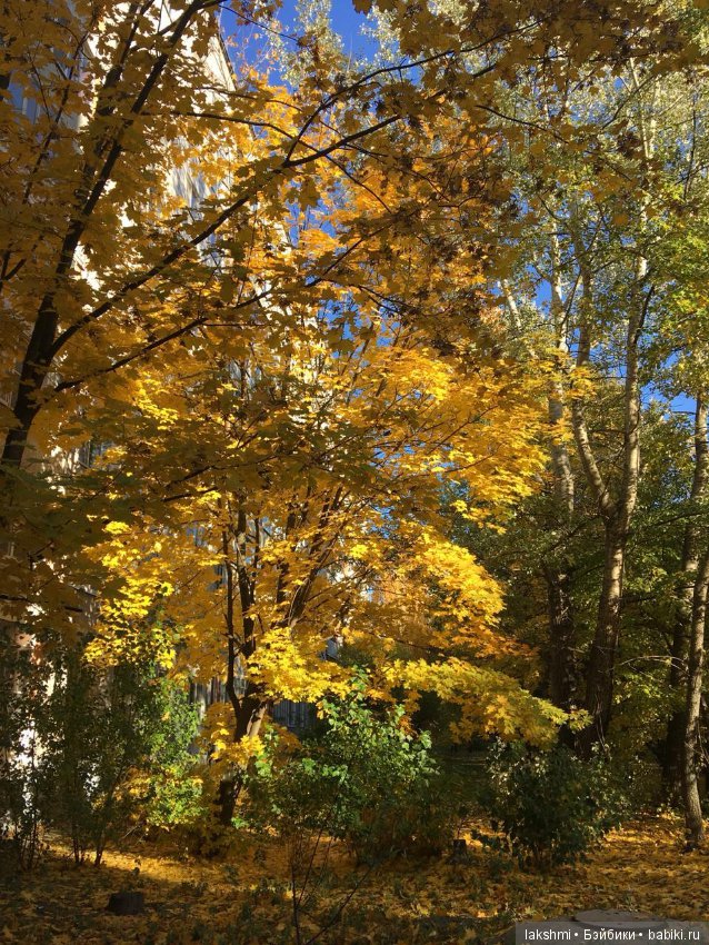 Немного осени с Врен, Оливией и вихтелями