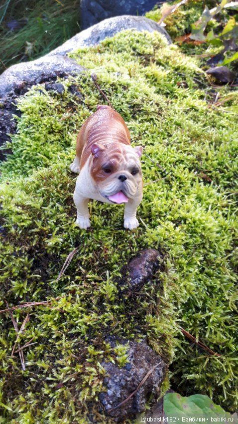 Жизнь в городе N. Краткий путеводитель по героям