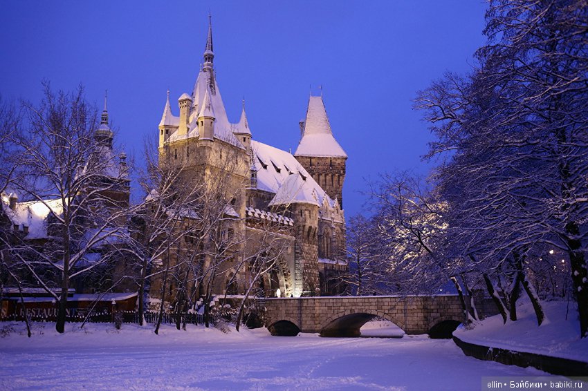 Самые красивые замки Европы зимой (фото 4)