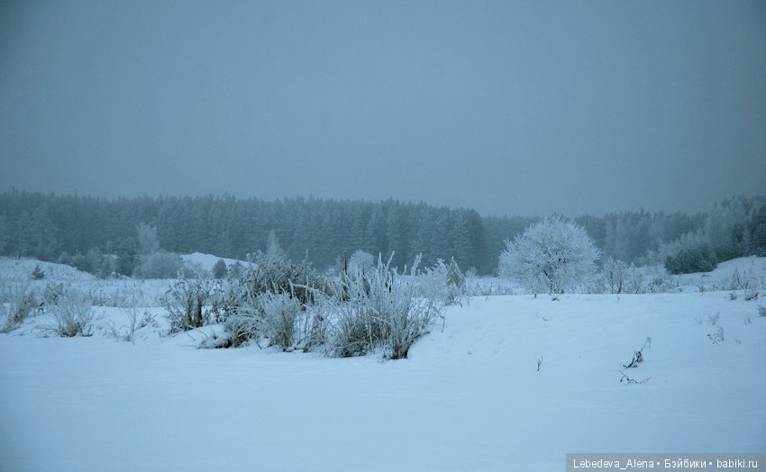 Рождественская природа — Болталка и разговоры обо всем: жизнь (фото 8)