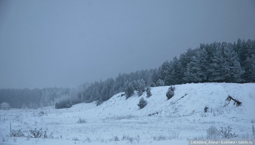 Рождественская природа — Болталка и разговоры обо всем: жизнь (фото 7)