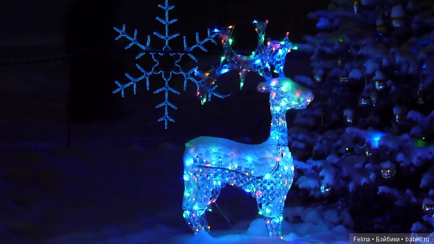 Рождественская сказка в Дивеево (фото 6)