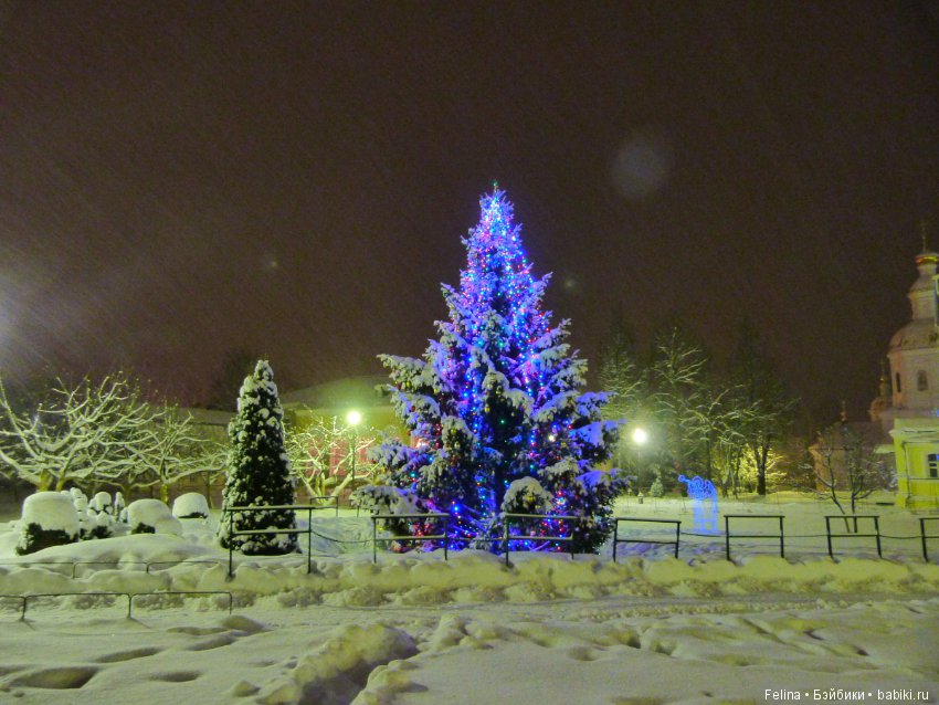 Рождественская сказка в Дивеево (фото 8)