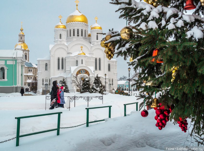 Рождественская сказка в Дивеево (фото 10)