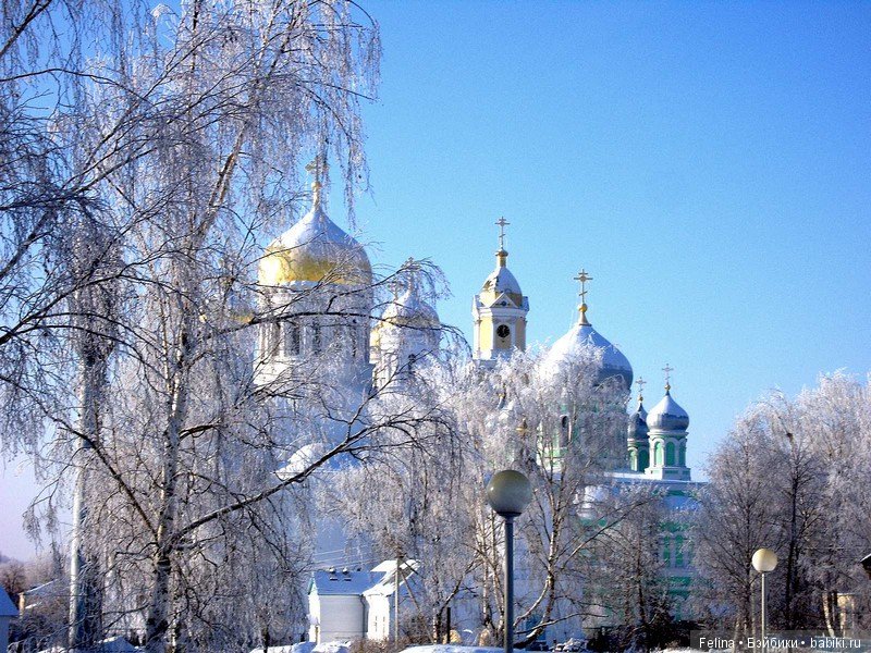 Рождественская сказка в Дивеево