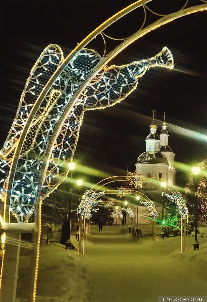 Рождественская сказка в Дивеево (фото 3)