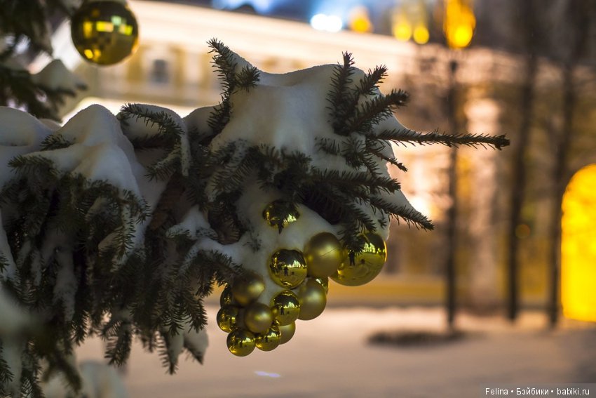Рождественская сказка в Дивеево