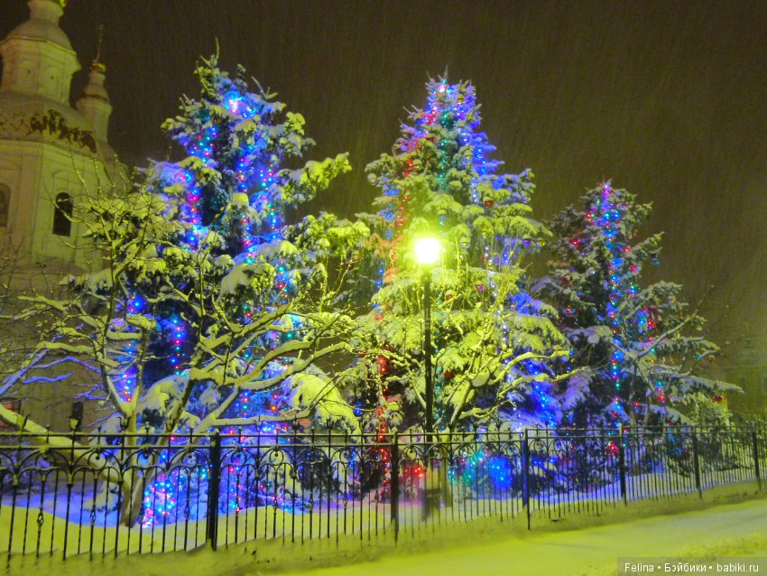 Рождественская сказка в Дивеево (фото 7)