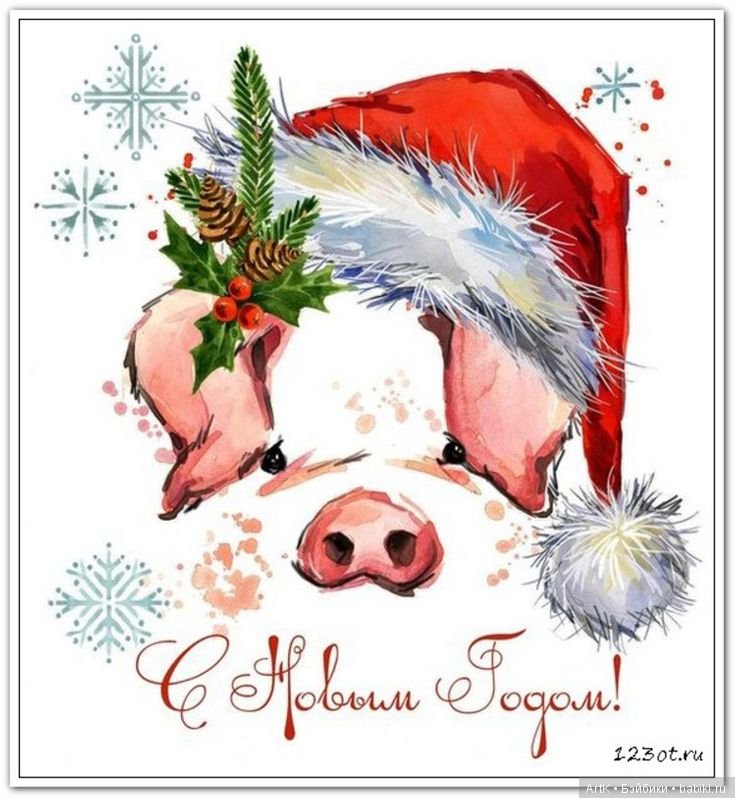 Новогоднее, Phicen — Куклы Phicen (TBLeague/Фицен): бесшовные тела