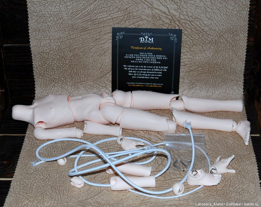 Мой Димка — Куклы DIM (Doll in Mind): корейские BJD (БЖД) (фото 3)