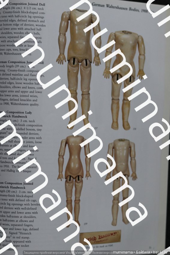 Тела немецких кукол классификатор. Часть 2 (фото 4)