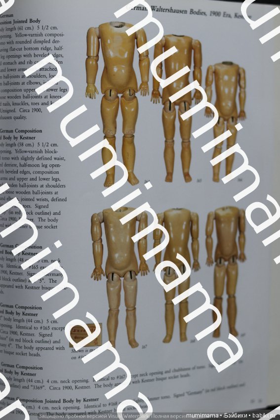 Тела немецких кукол классификатор. Часть 2 (фото 6)