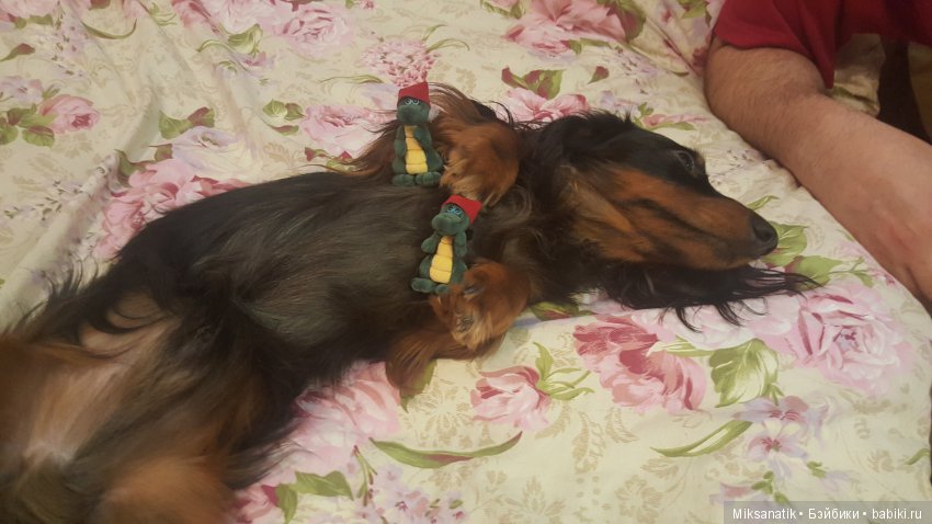 Как здорово, что все мы здесь сегодня собрались